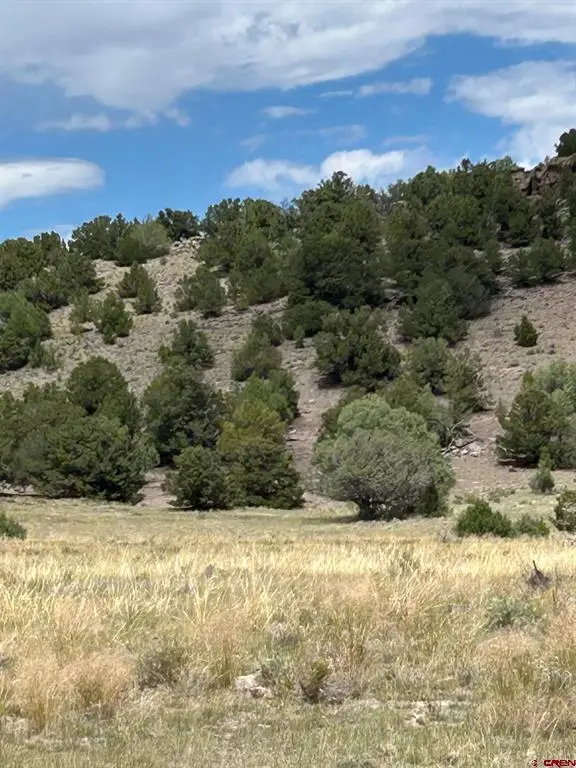 TBD Tbd, La Jara, CO 81140 - #1