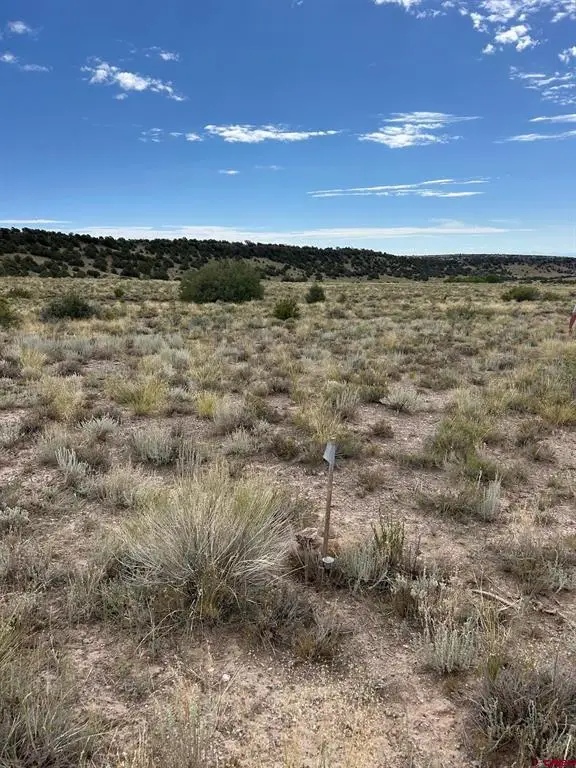 TBD Tbd, La Jara, CO 81140 - #2