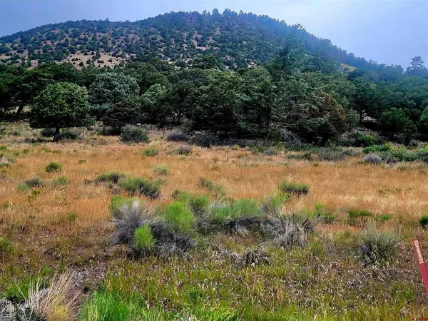 531 Bear Creek Circle, South Fork, CO 81154