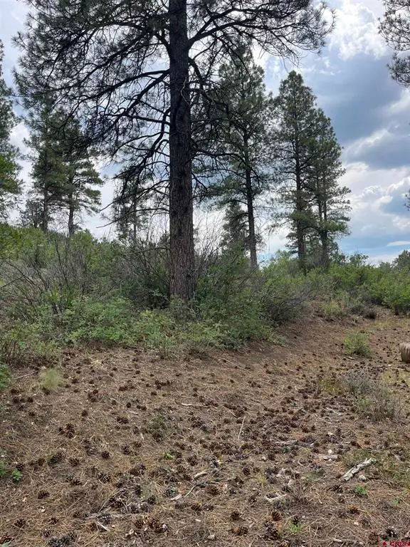 181 River Run Dr, Pagosa Springs, CO 81147 - #1
