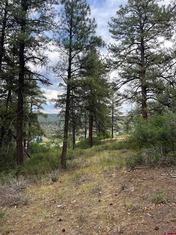 181 River Run Dr, Pagosa Springs, CO 81147 - #3