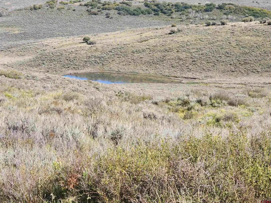 TBD Divide (mont's Draw) Road, Gateway, CO 81522 - #2