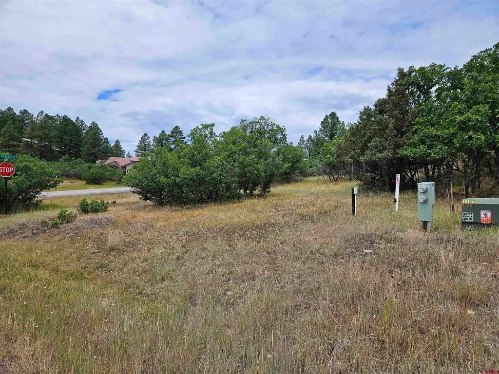 8 Caballero Drive, Pagosa Springs, CO 81147 - #1