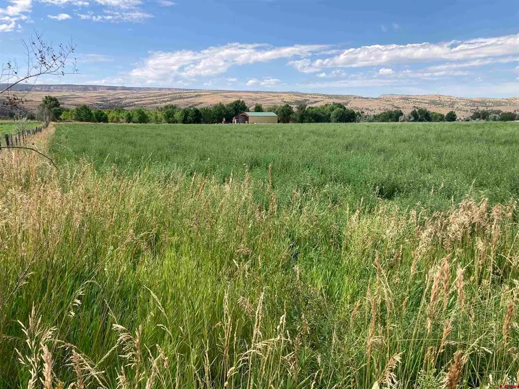 no address J Road, Hotchkiss, CO 81419 - #1