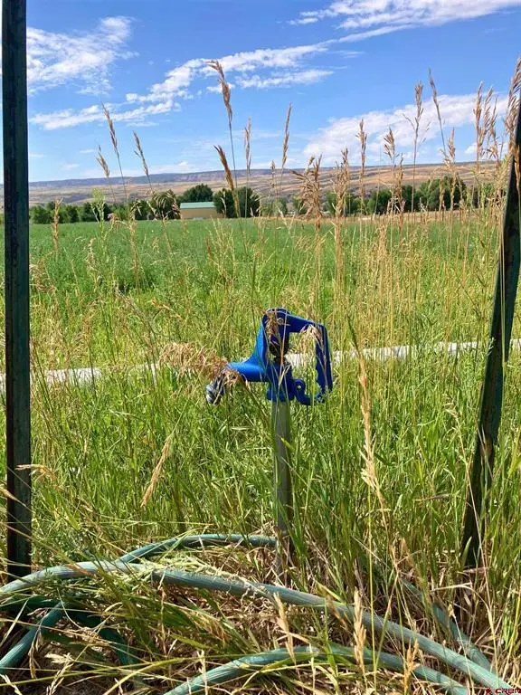 no address J Road, Hotchkiss, CO 81419 - #3