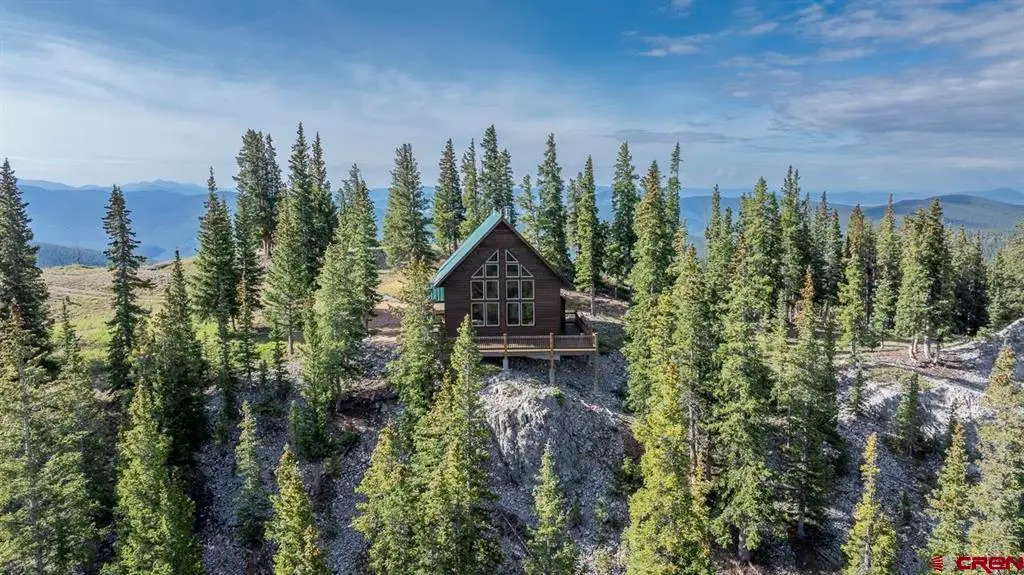 220 Geneva Lane, Pitkin, CO 81241 - #1