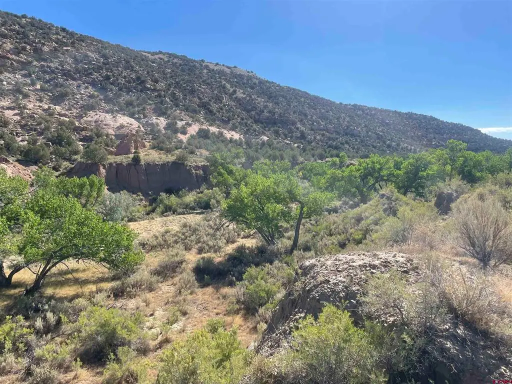 17979 Road G, Cortez, CO 81321 - #1
