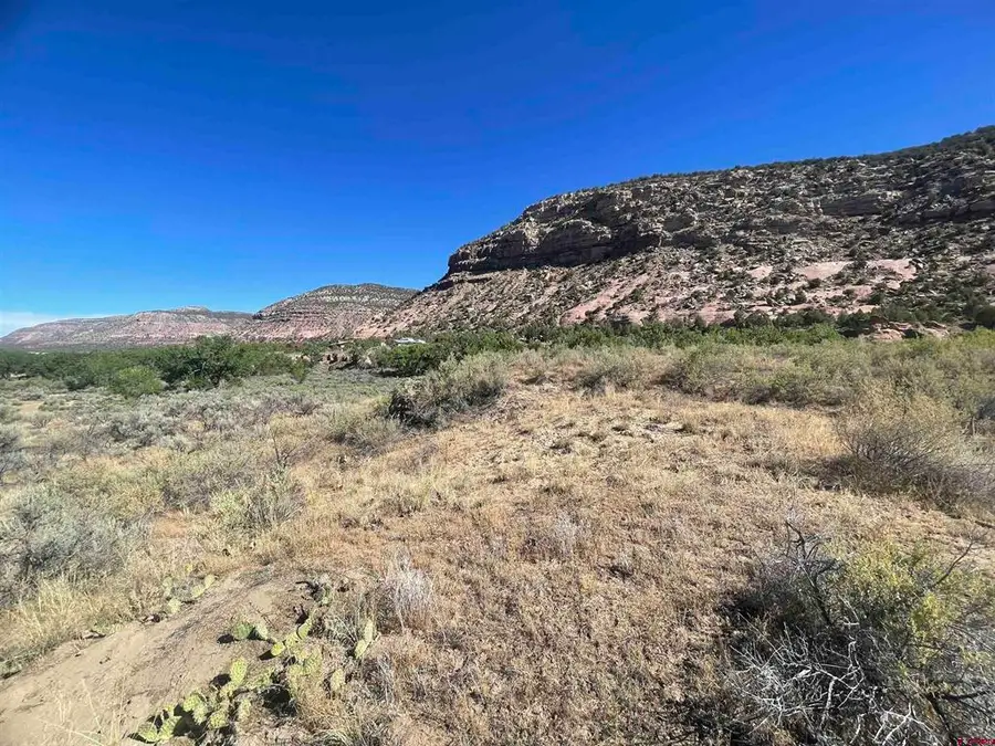 17979 Road G, Cortez, CO 81321 - #3