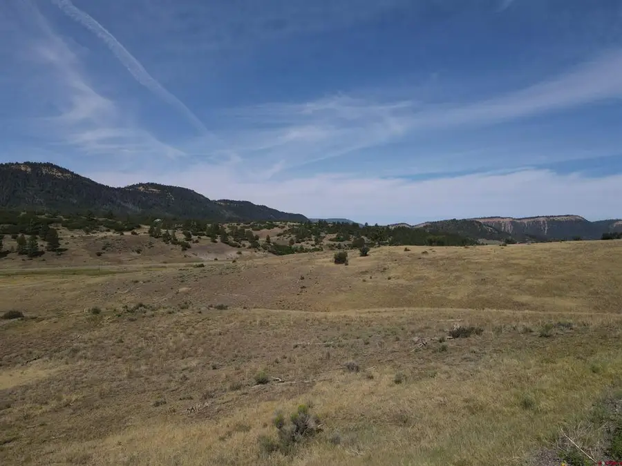 141 Spring Creek Circle, Chromo, CO 81128 - #3