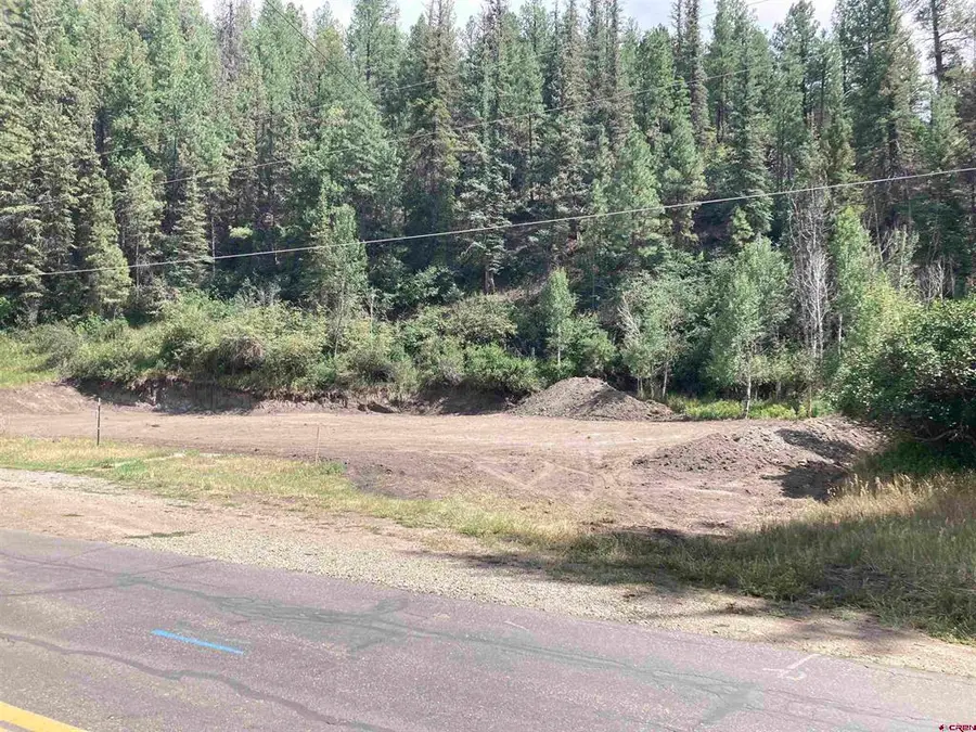 275 San Juan St, Pagosa Springs, CO 81147 - #2
