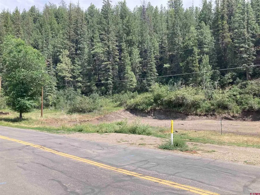 275 San Juan St, Pagosa Springs, CO 81147 - #3