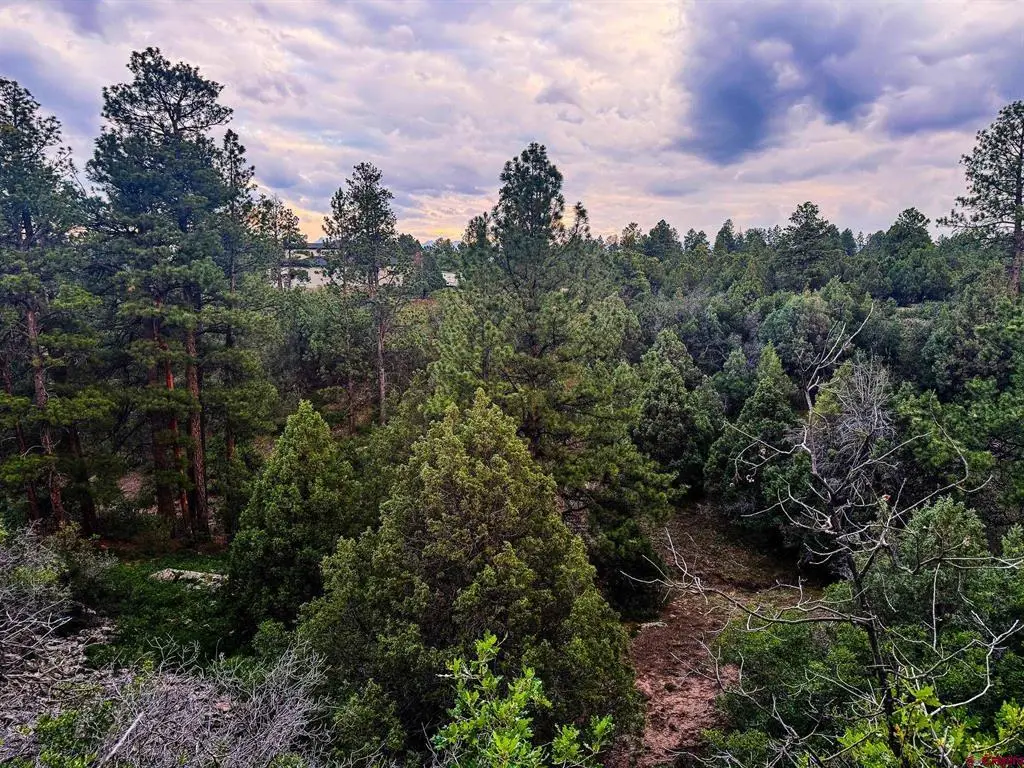 190 Hummingbird Trail, Ridgway, CO 81432 - #1