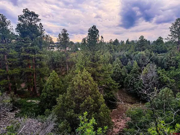 190 Hummingbird Trail, Ridgway, CO 81432