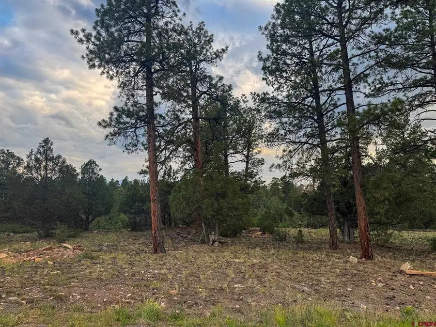 190 Hummingbird Trail, Ridgway, CO 81432 - #2