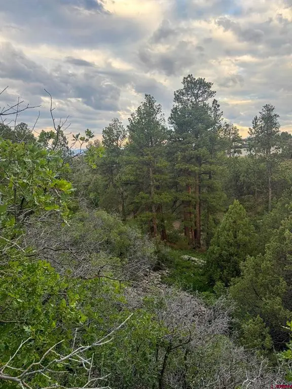 190 Hummingbird Trail, Ridgway, CO 81432 - #3