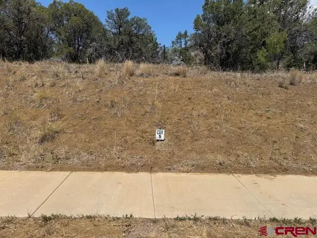 39 Salt Brush Street, Durango, CO 81301 - #1