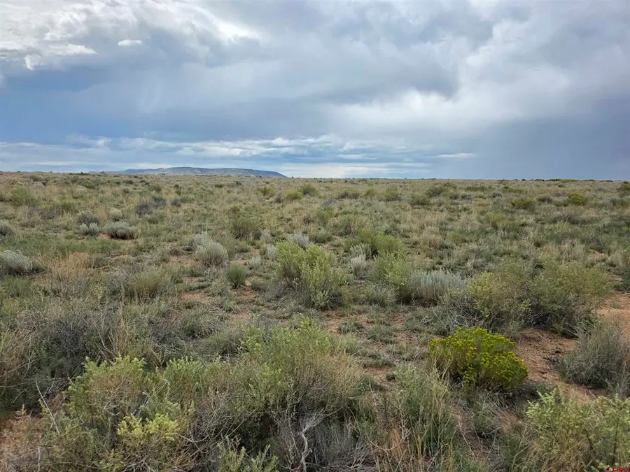 TBD War Eagle Trail, San Luis, CO 81152 - #2