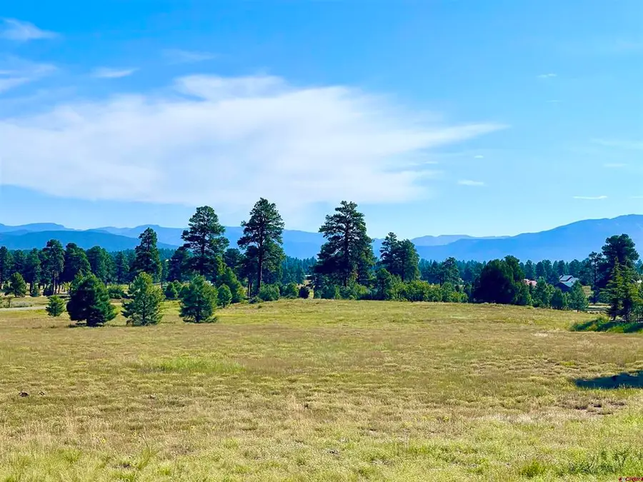243 Vista San Juan, Pagosa Springs, CO 81147 - #2