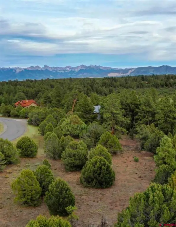 52 White Tail Lane, Ridgway, CO 81432 - #2