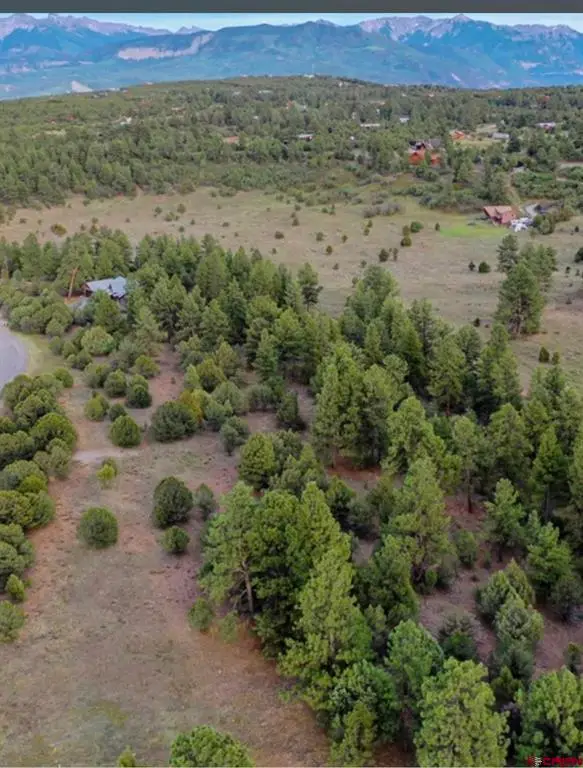 52 White Tail Lane, Ridgway, CO 81432 - #3