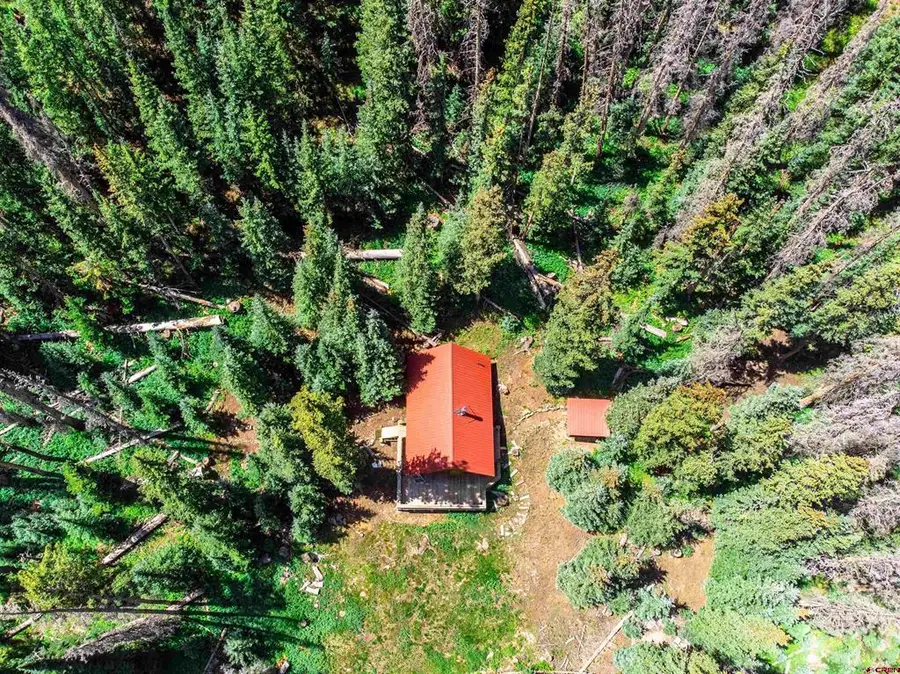 18505 County Rd 30 Road, Lake City, CO 81235 - #2
