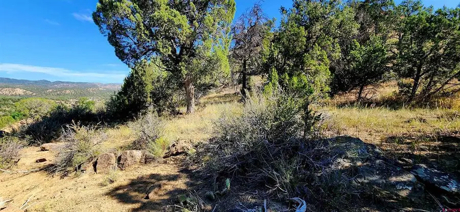 942 Rainbow Road, Durango, CO 81303 - #2