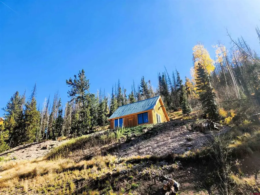 2540 Usfs Rd 503, Creede, CO 81130 - #2