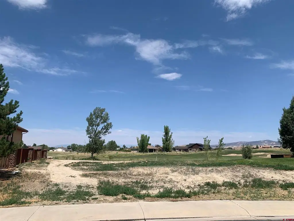 Lot 2305 Painted Wall Lane, Montrose, CO 81401 - #1