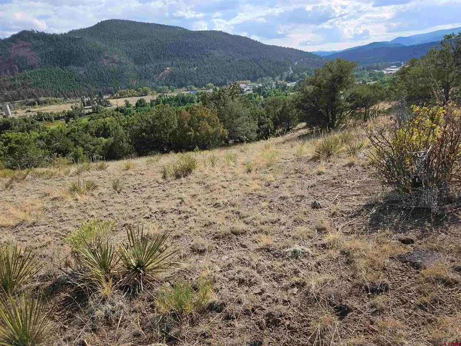 404 Vista De Verde Circle, South Fork, CO 81154 - #2
