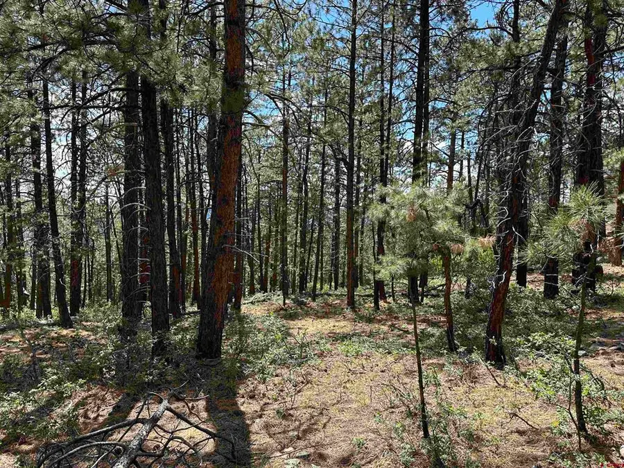 324 Hilltop Drive, Bayfield, CO 81122 - #2