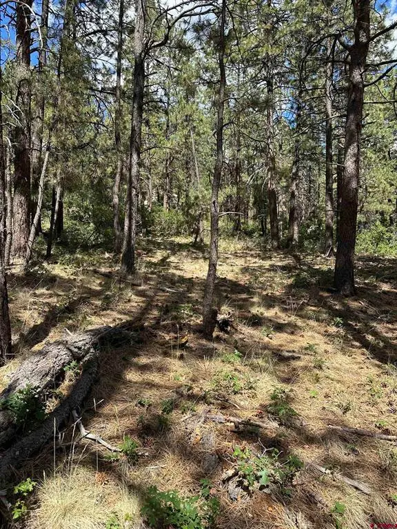 324 Hilltop Drive, Bayfield, CO 81122 - #3