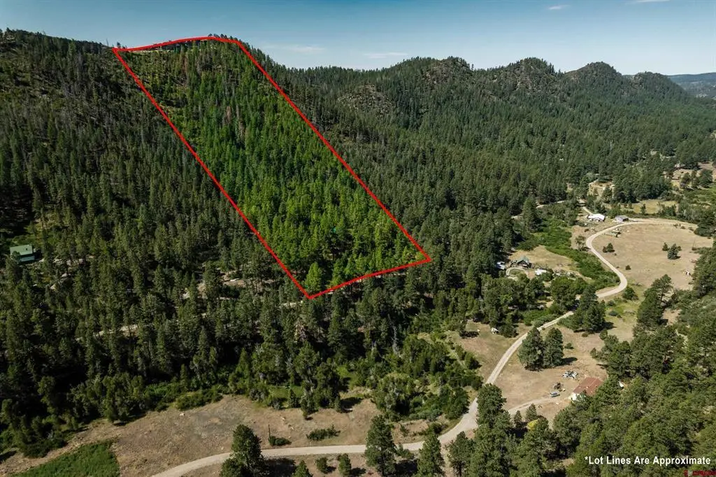 2215 Bear Creek Canyon Road, Bayfield, CO 81122 - #1