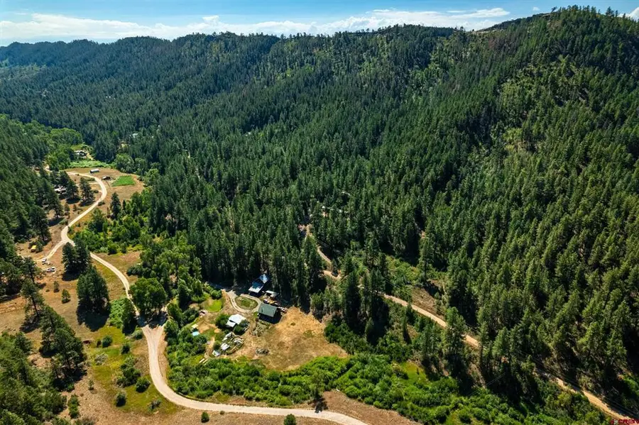 2215 Bear Creek Canyon Road, Bayfield, CO 81122 - #3