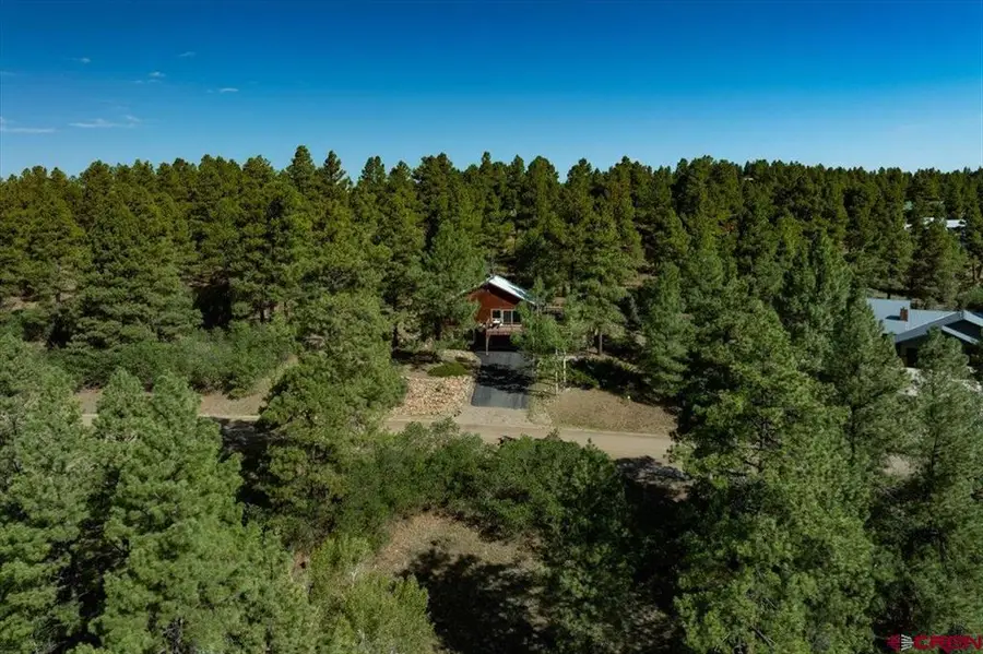 233 Sweetwater Drive, Pagosa Springs, CO 81147 - #3