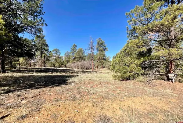 TBD S Badger Trail, Ridgway, CO 81432