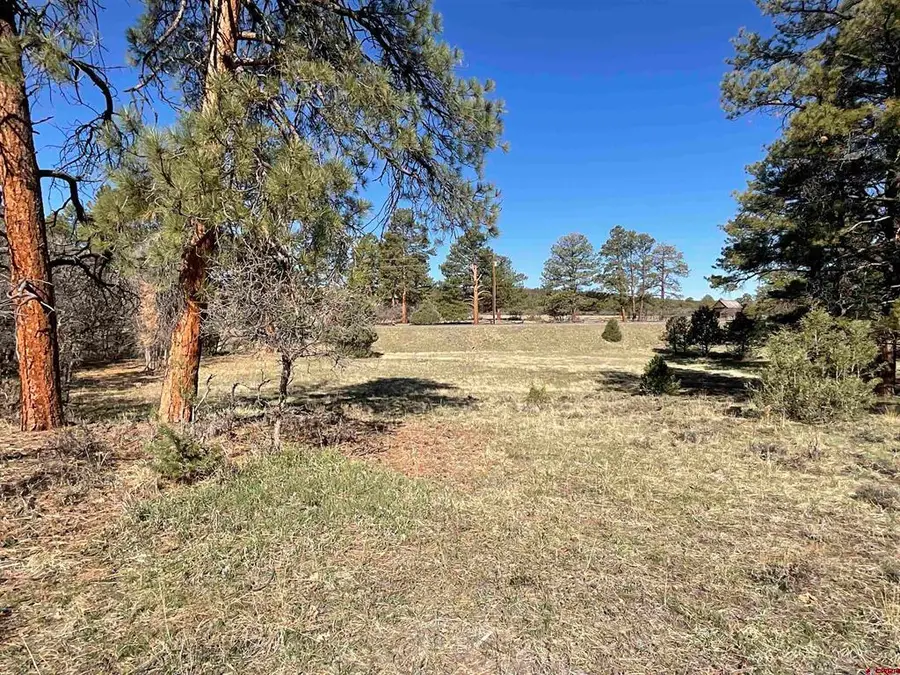 TBD S Badger Trail, Ridgway, CO 81432 - #2