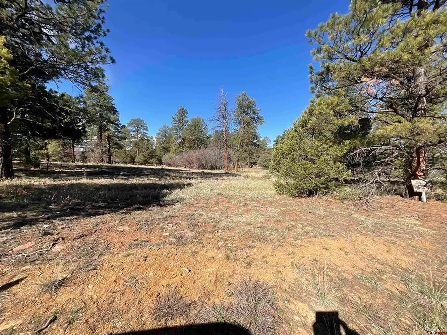 TBD S Badger Trail, Ridgway, CO 81432 - #3