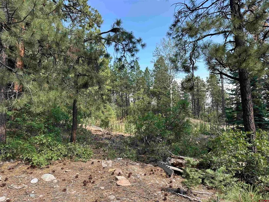 186 Pine Ridge, Bayfield, CO 81122 - #1