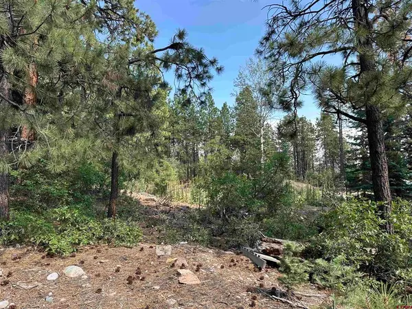 186 Pine Ridge, Bayfield, CO 81122