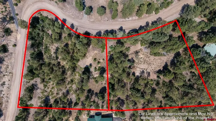 186 Pine Ridge, Bayfield, CO 81122 - #2