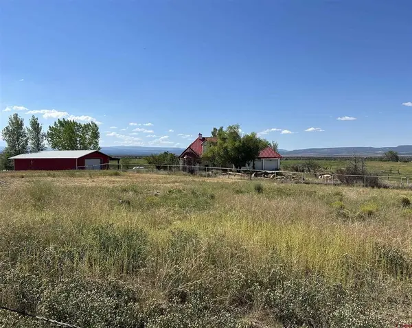 32116 Highway 145, Redvale, CO 81431