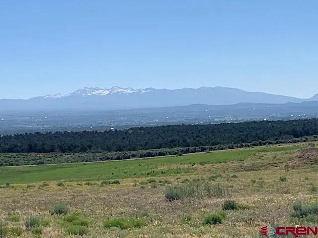 Lot 12 Road 17.9, Cortez, CO 81321 - #1
