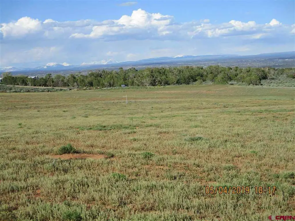 Lot 11 Road 17.9, Cortez, CO 81321 - #1
