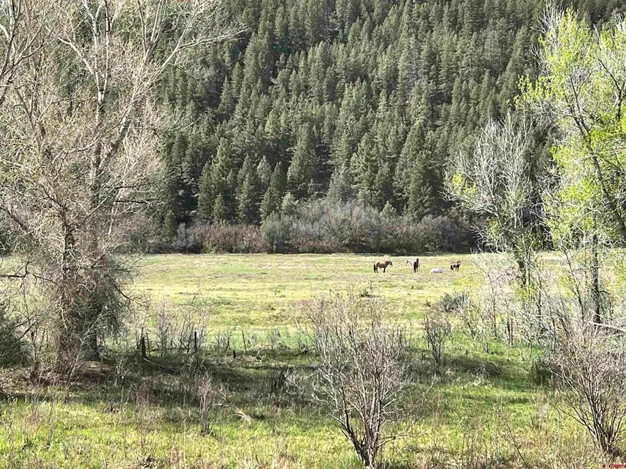000 County Road 551, Pagosa Springs, CO 81147 - #3