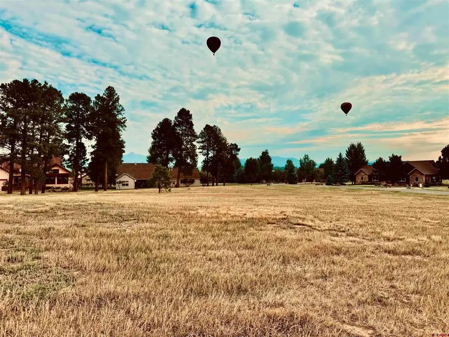 31 Capstone Circle, Pagosa Springs, CO 81147 - #3