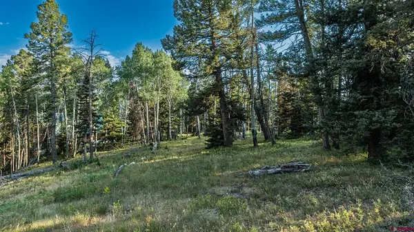170 Crest Drive, Cimarron, CO 81220
