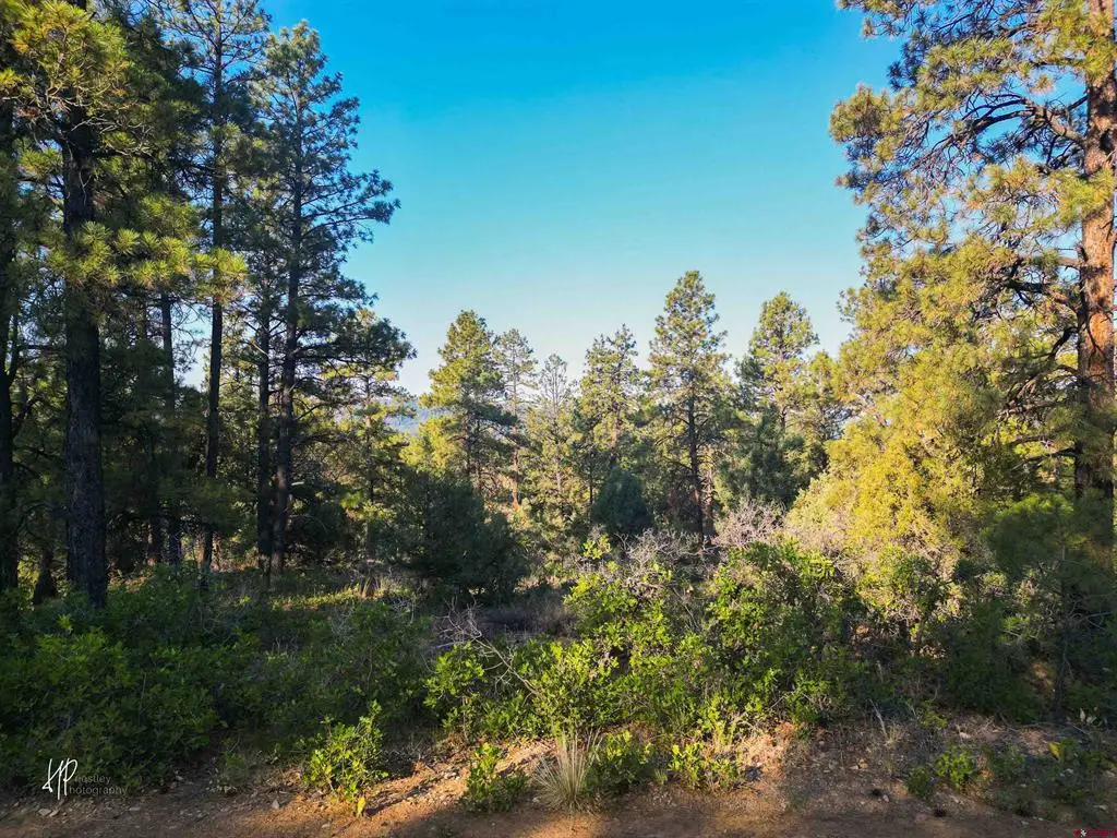 326 Justin's Road, Pagosa Springs, CO 81147 - #1