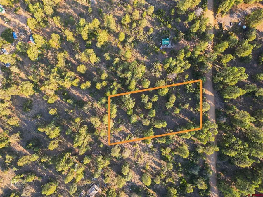 326 Justin's Road, Pagosa Springs, CO 81147 - #3