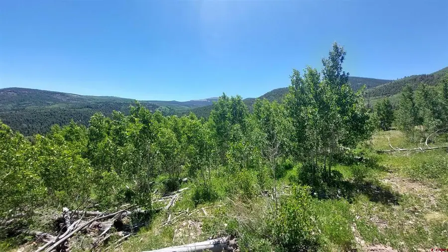 655 Elk Ct, South Fork, CO 81154 - #2