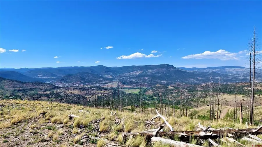 535 Elk Ct, South Fork, CO 81154 - #2